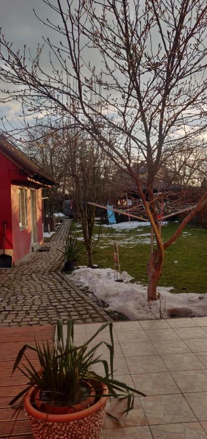 Hotel Casa Terzea Rîşnov Exteriér fotografie