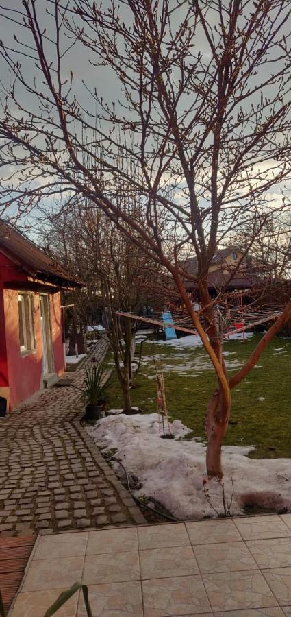 Hotel Casa Terzea Rîşnov Exteriér fotografie